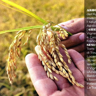Arborio, il riso dell'Azienda Agricola Invernizzi