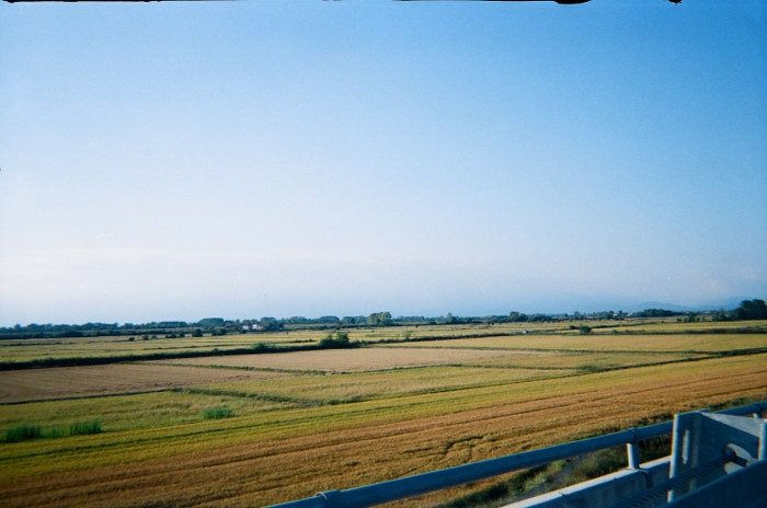 Le risaie della Baraggia e dell'azienda agricola Invernizzi Leonardo